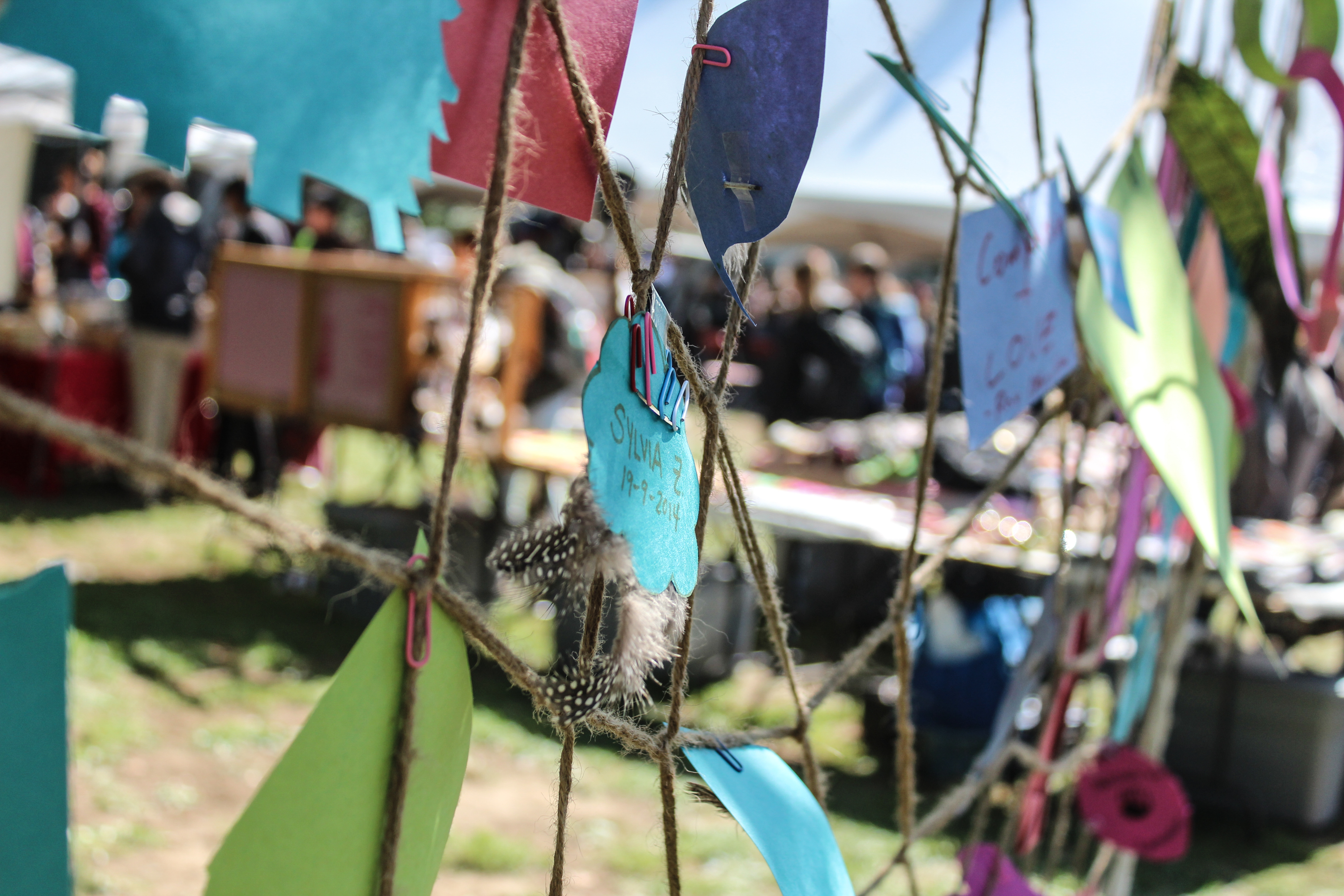 SSMU SURVEY: INDIGENOUS EDUCATION INITIATIVES