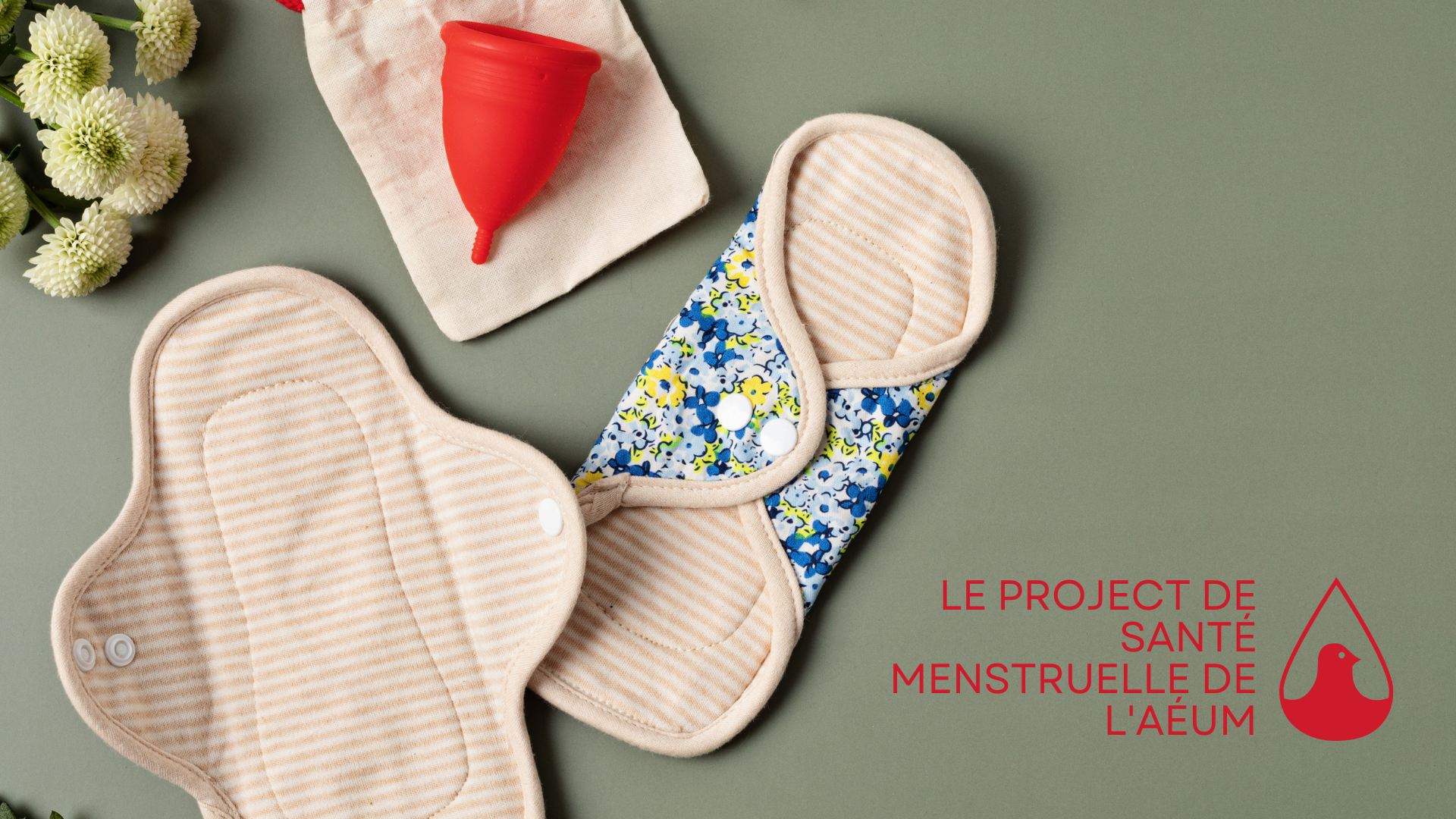 Le project de santé menstruelle de l'AÉUM - Ramassage mensuel (@ McLennan Redpath)