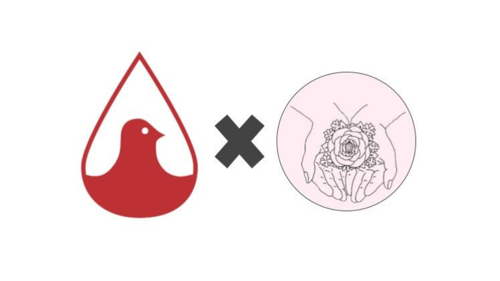 TRIVIA AVEC L’ÉQUIPE DE MHP ET DE SEX & SELF